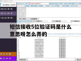 短信接收5位验证码是什么意思呀怎么弄的