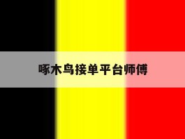 啄木鸟接单平台师傅