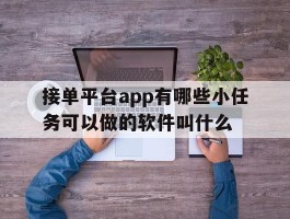 接单平台app有哪些小任务可以做的软件叫什么
