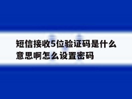 短信接收5位验证码是什么意思啊怎么设置密码