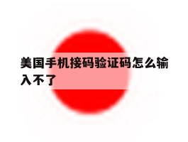 美国手机接码验证码怎么输入不了
