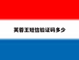 芙蓉王短信验证码多少