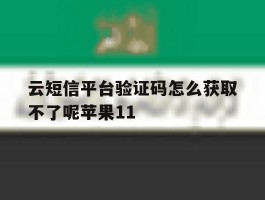 关于云短信平台验证码怎么获取不了呢苹果11的信息