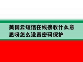 美国云短信在线接收什么意思呀怎么设置密码保护的简单介绍