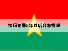关于接码犯罪5年以后会怎样呢的信息
