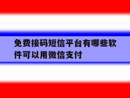 免费接码短信平台有哪些软件可以用微信支付