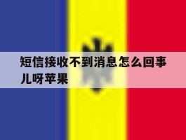 短信接收不到消息怎么回事儿呀苹果
