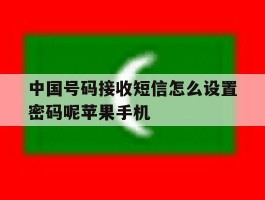 中国号码接收短信怎么设置密码呢苹果手机的简单介绍