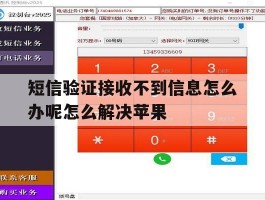 短信验证接收不到信息怎么办呢怎么解决苹果