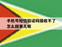 手机号短信验证码接收不了怎么回事儿呢的简单介绍