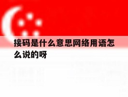 接码是什么意思网络用语怎么说的呀的简单介绍