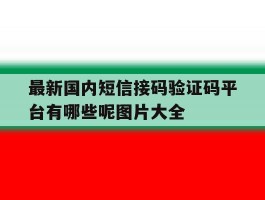 最新国内短信接码验证码平台有哪些呢图片大全