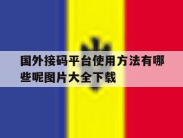 国外接码平台使用方法有哪些呢图片大全下载