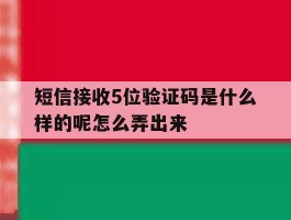 短信接收5位验证码是什么样的呢怎么弄出来
