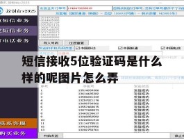短信接收5位验证码是什么样的呢图片怎么弄