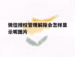 微信授权管理解除会怎样显示呢图片