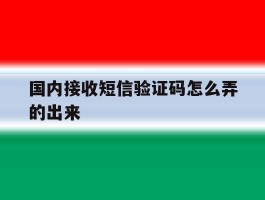 国内接收短信验证码怎么弄的出来