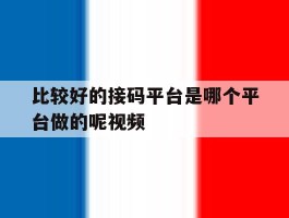 比较好的接码平台是哪个平台做的呢视频