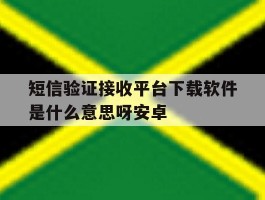 短信验证接收平台下载软件是什么意思呀安卓