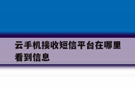 云手机接收短信平台在哪里看到信息
