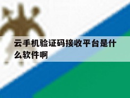 云手机验证码接收平台是什么软件啊