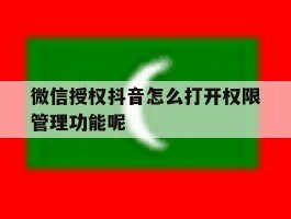 微信授权抖音怎么打开权限管理功能呢