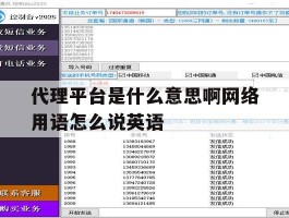 代理平台是什么意思啊网络用语怎么说英语