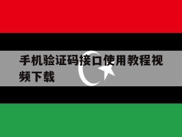 手机验证码接口使用教程视频下载