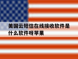 美国云短信在线接收软件是什么软件呀苹果