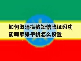 关于如何取消拦截短信验证码功能呢苹果手机怎么设置的信息