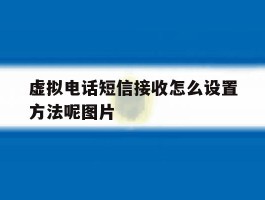 包含虚拟电话短信接收怎么设置方法呢图片的词条