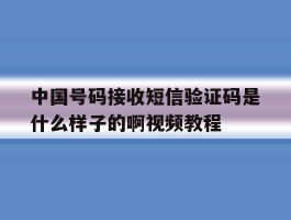 包含中国号码接收短信验证码是什么样子的啊视频教程的词条