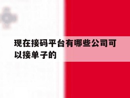 现在接码平台有哪些公司可以接单子的