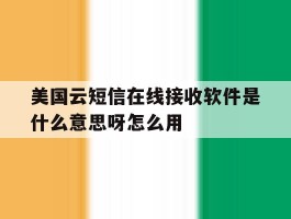 美国云短信在线接收软件是什么意思呀怎么用