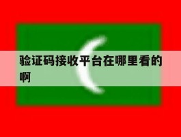 验证码接收平台在哪里看的啊