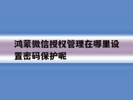 关于鸿蒙微信授权管理在哪里设置密码保护呢的信息