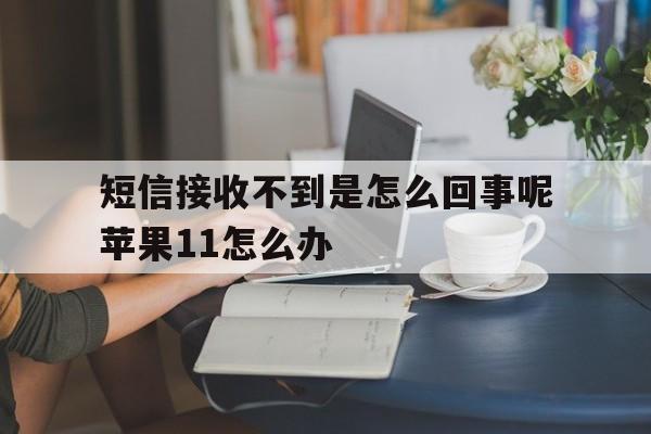 短信接收不到是怎么回事呢苹果11怎么办的简单介绍 短信接收不到是怎么回事呢苹果11怎么办的简单介绍