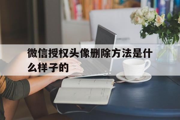 微信授权头像删除方法是什么样子的 微信授权头像删除方法是什么样子的