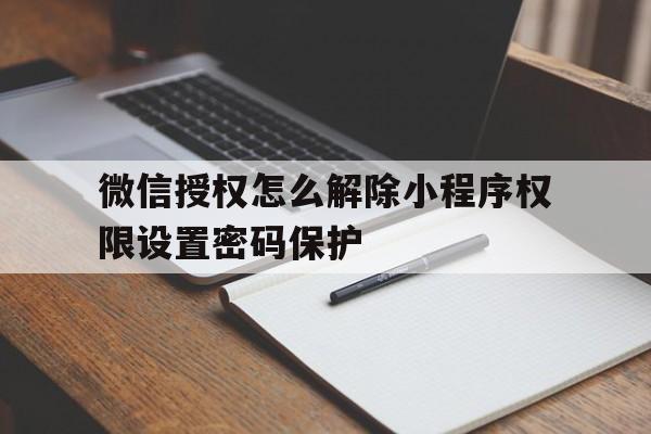 微信授权怎么解除小程序权限设置密码保护 微信授权怎么解除小程序权限设置密码保护