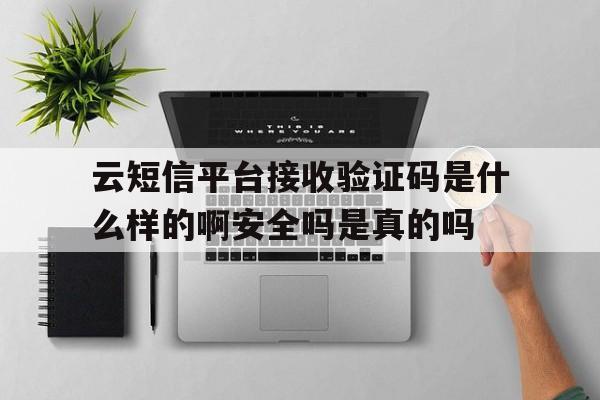 包含云短信平台接收验证码是什么样的啊安全吗是真的吗的词条 包含云短信平台接收验证码是什么样的啊安全吗是真的吗的词条