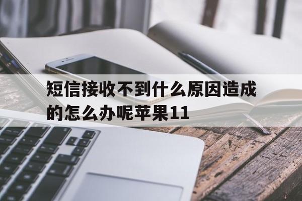 关于短信接收不到什么原因造成的怎么办呢苹果11的信息 关于短信接收不到什么原因造成的怎么办呢苹果11的信息