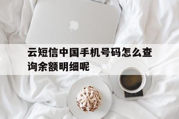 关于云短信中国手机号码怎么查询余额明细呢的信息 关于云短信中国手机号码怎么查询余额明细呢的信息