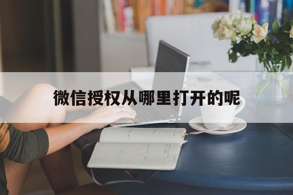 微信授权从哪里打开的呢 微信授权从哪里打开的呢