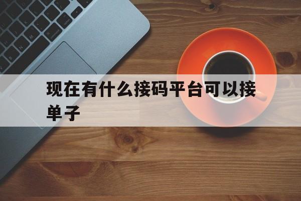 现在有什么接码平台可以接单子 现在有什么接码平台可以接单子