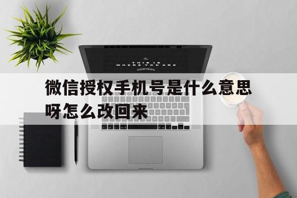 微信授权手机号是什么意思呀怎么改回来 微信授权手机号是什么意思呀怎么改回来