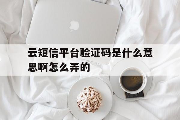 云短信平台验证码是什么意思啊怎么弄的 云短信平台验证码是什么意思啊怎么弄的