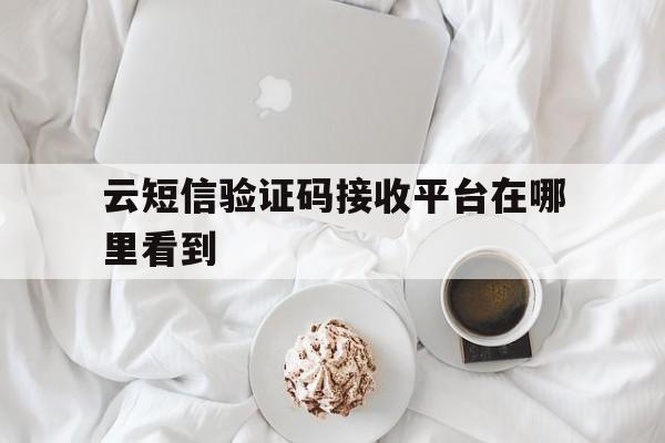 云短信验证码接收平台在哪里看到 云短信验证码接收平台在哪里看到