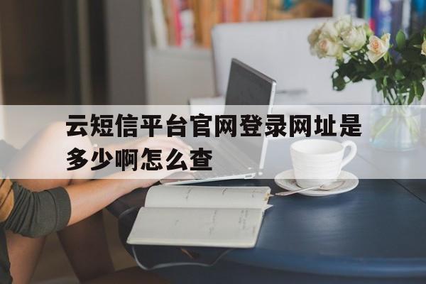 云短信平台官网登录网址是多少啊怎么查