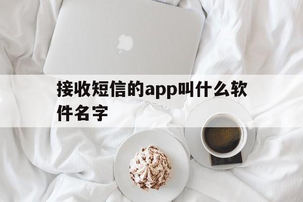 接收短信的app叫什么软件名字 接收短信的app叫什么软件名字
