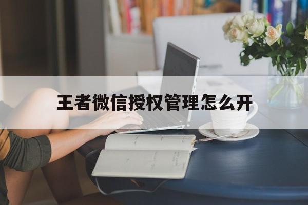 王者微信授权管理怎么开 王者微信授权管理怎么开